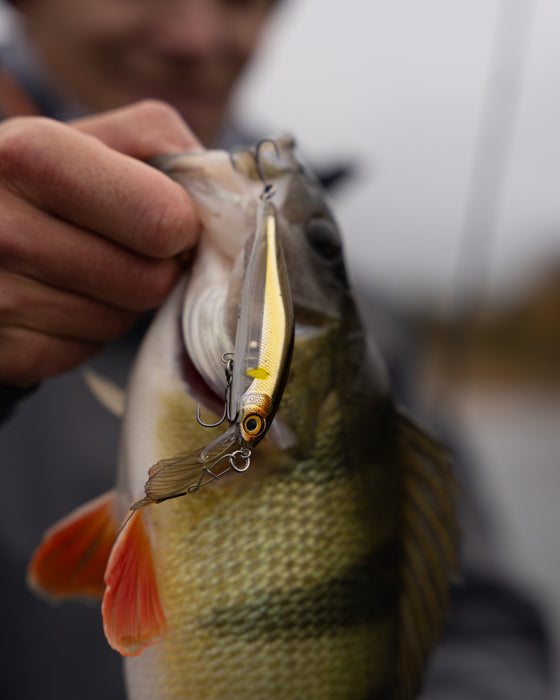 Rapala Precision Xtreme Air Boss Lures