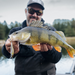 Rapala Precision Xtreme Air Boss Lures