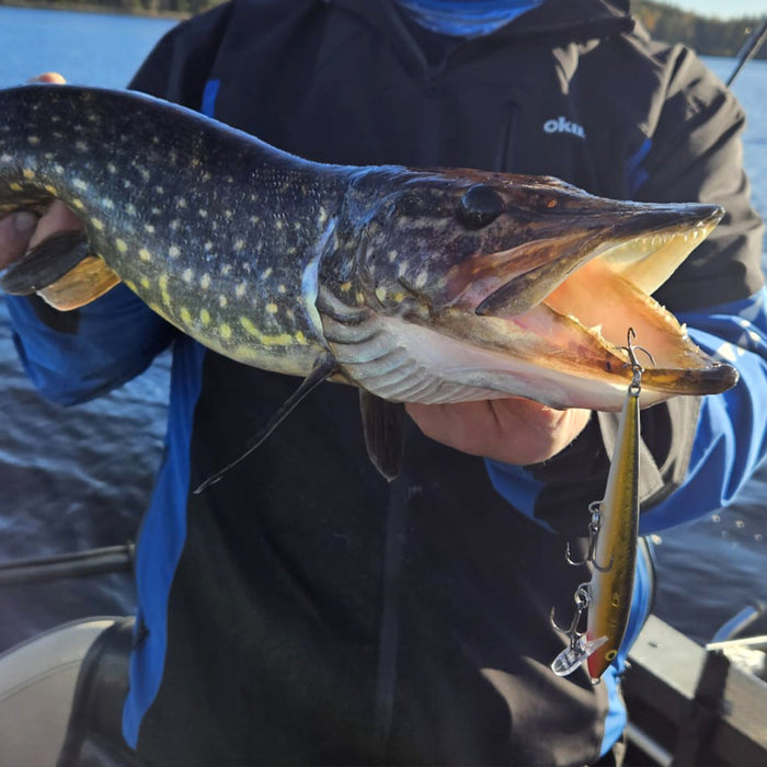 Rapala 90 Years Anniversary Lure Kits