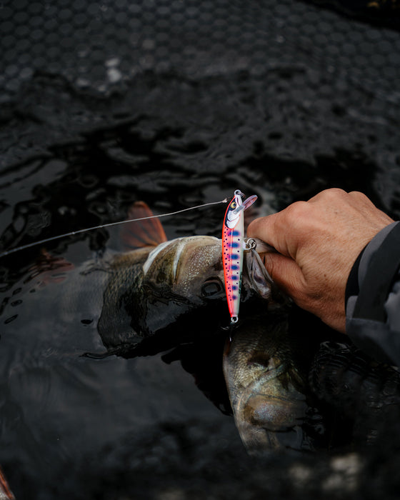 Rapala Floater Elite Lures
