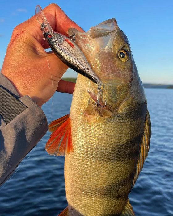 Rapala 90 Years Anniversary Lure Kits