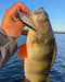 Rapala 90 Years Anniversary Lure Kits