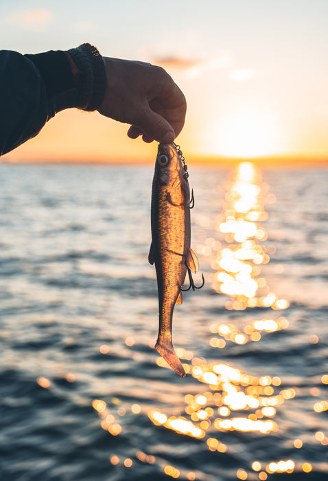 Savage Gear 3D Herring Shad V2 Lures