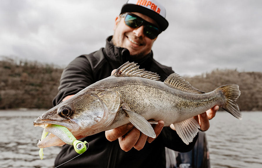 Rapala CrushCity The Stingman Lures