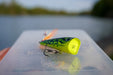 Rapala X-Light Pop Lures