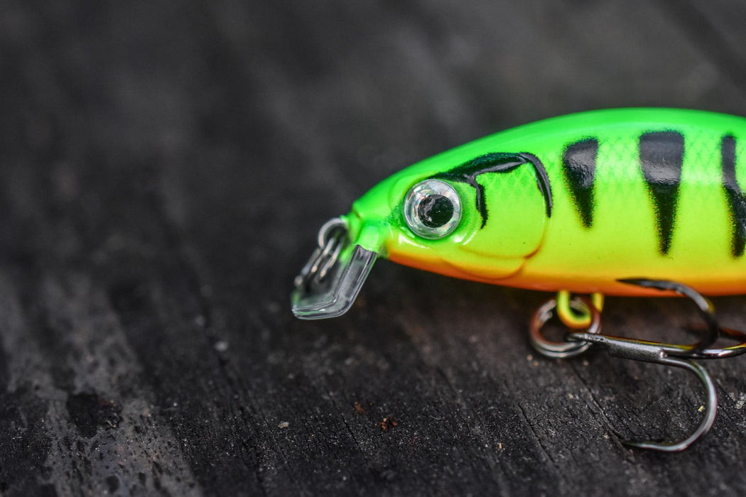 Rapala X-Light Minnow Lures