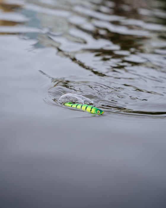 Rapala Precision Xtreme Pencil Lures