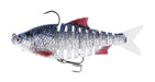 Westin Ricky the Roach Multi Jointed R2F Lures