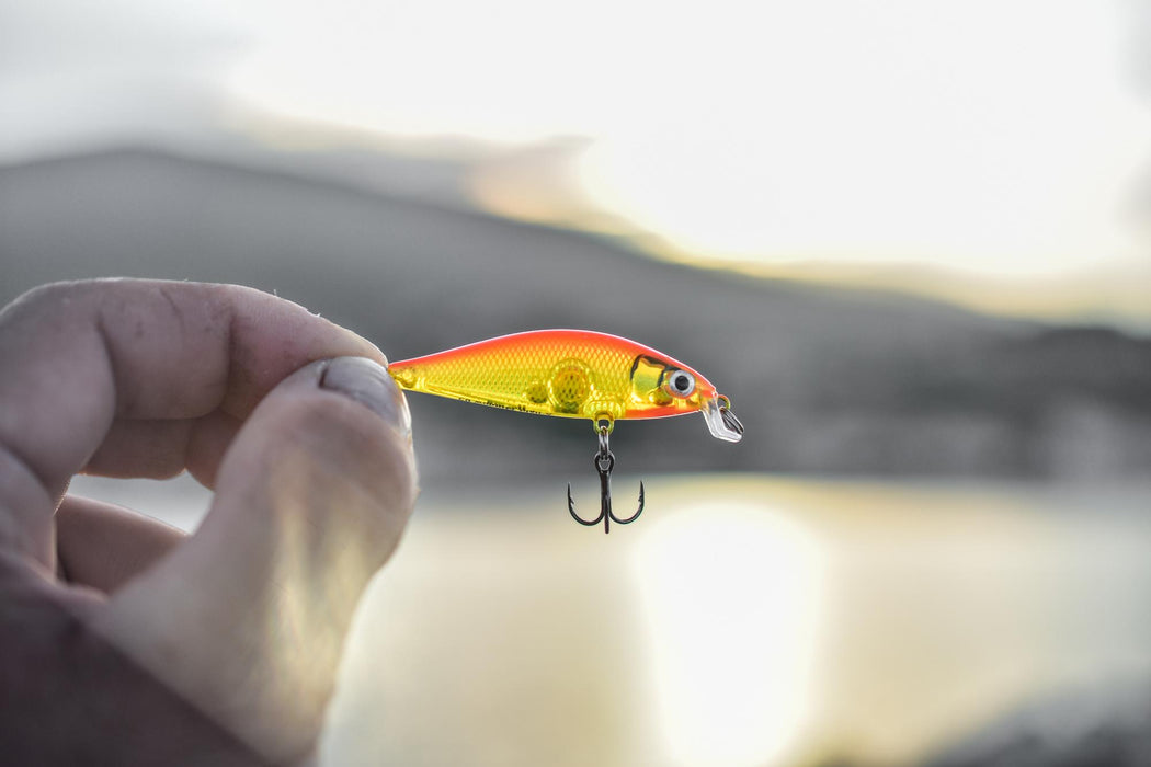 Rapala X-Light Minnow Lures