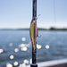 Rapala Precision Xtreme Air Boss Lures