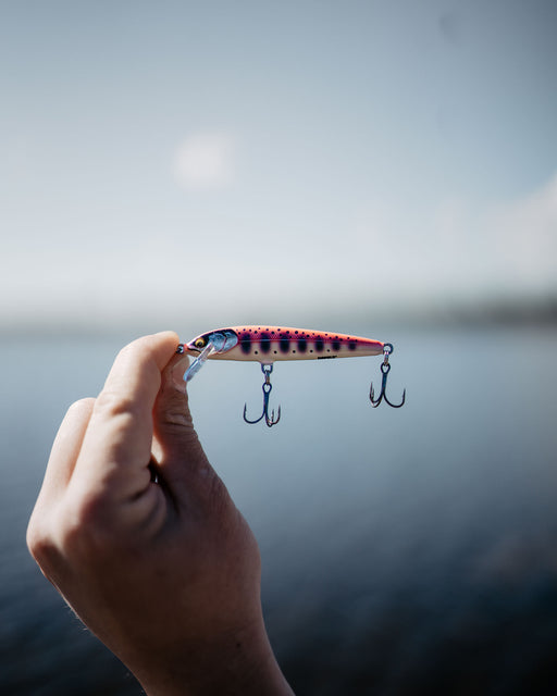 Rapala Floater Elite Lures