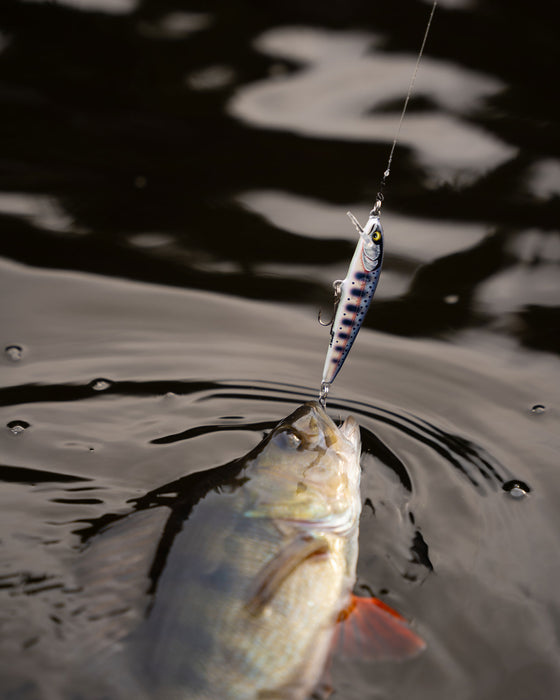Rapala Floater Elite Lures