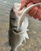 Westin Sandy Andy Weedless Jig Lures