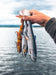 Savage Gear 3D Herring Shad V2 Lures