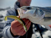 Westin Sandy Andy Weedless Jig Lures