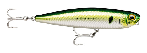 Rapala Precision Xtreme Pencil Saltwater Lures