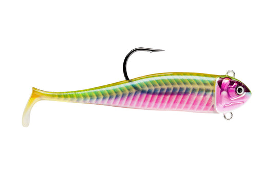 Storm 360GT Coastal Biscay COAST Minnow Lures